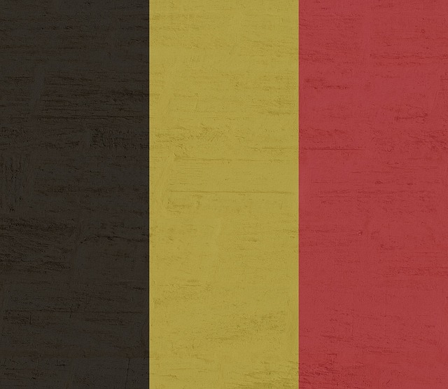 Známá vlajka Belgie. 